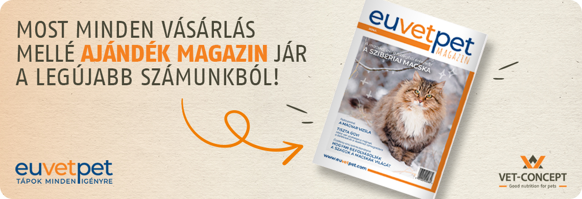 Magazin ismertető